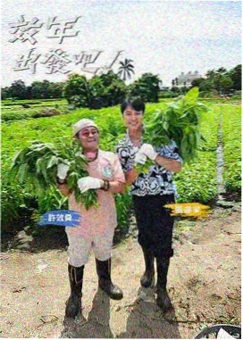 看剧网 榜单 第二张姓
